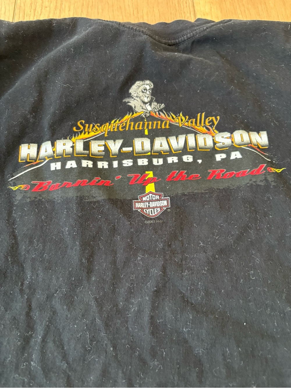 Y2K 2003 Harley Davidson Motorcycle T Shirt Mens XLarge Susquehanna Valley USA